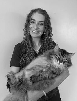 dr. julie jones