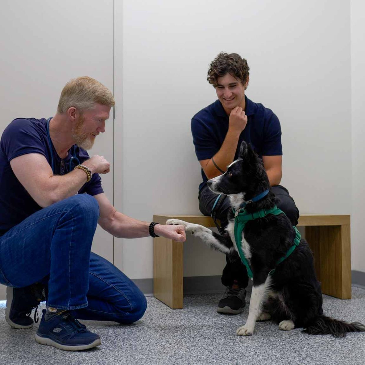 Thrive-Vet-Care-Airdrie-Veterinarian-12.jpg