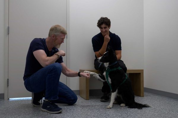 Dr. Jeff Dand Veterinarian at West Springs Veterinary Hospital in SW Calgary