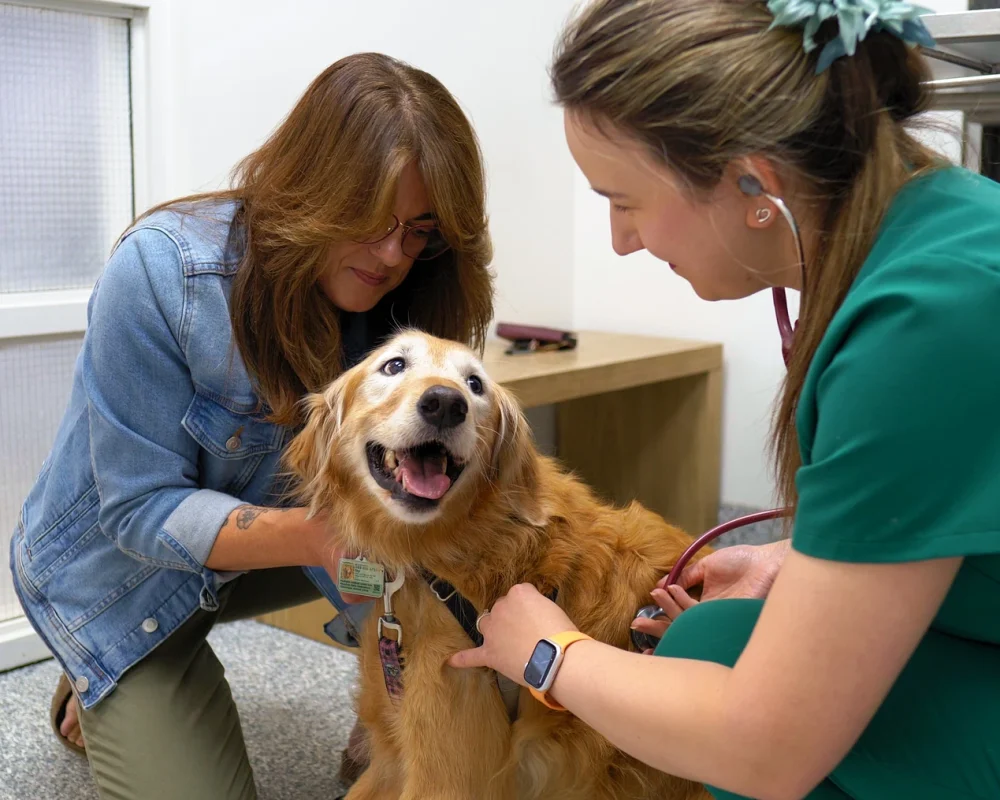 Westsprings Vet Clinic - 0925_007