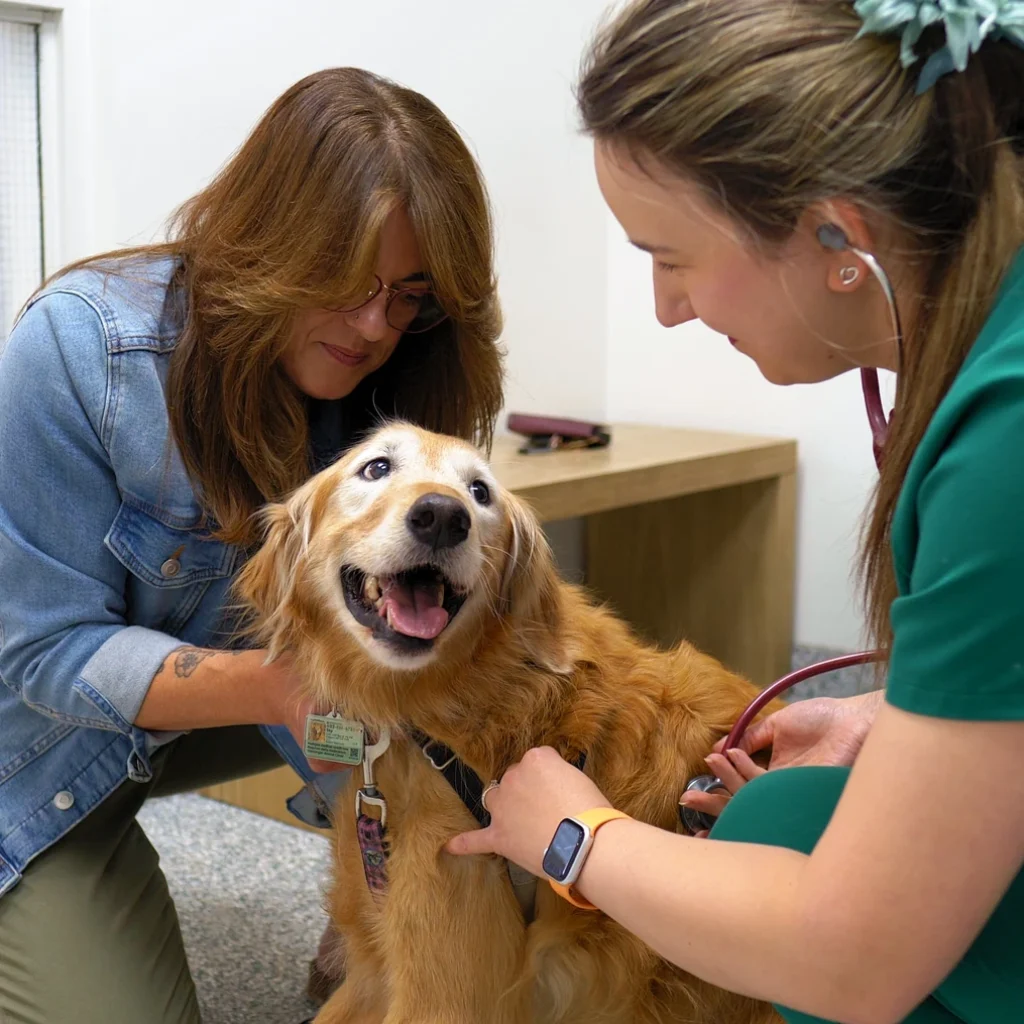 Westsprings Vet Clinic - 0925_007