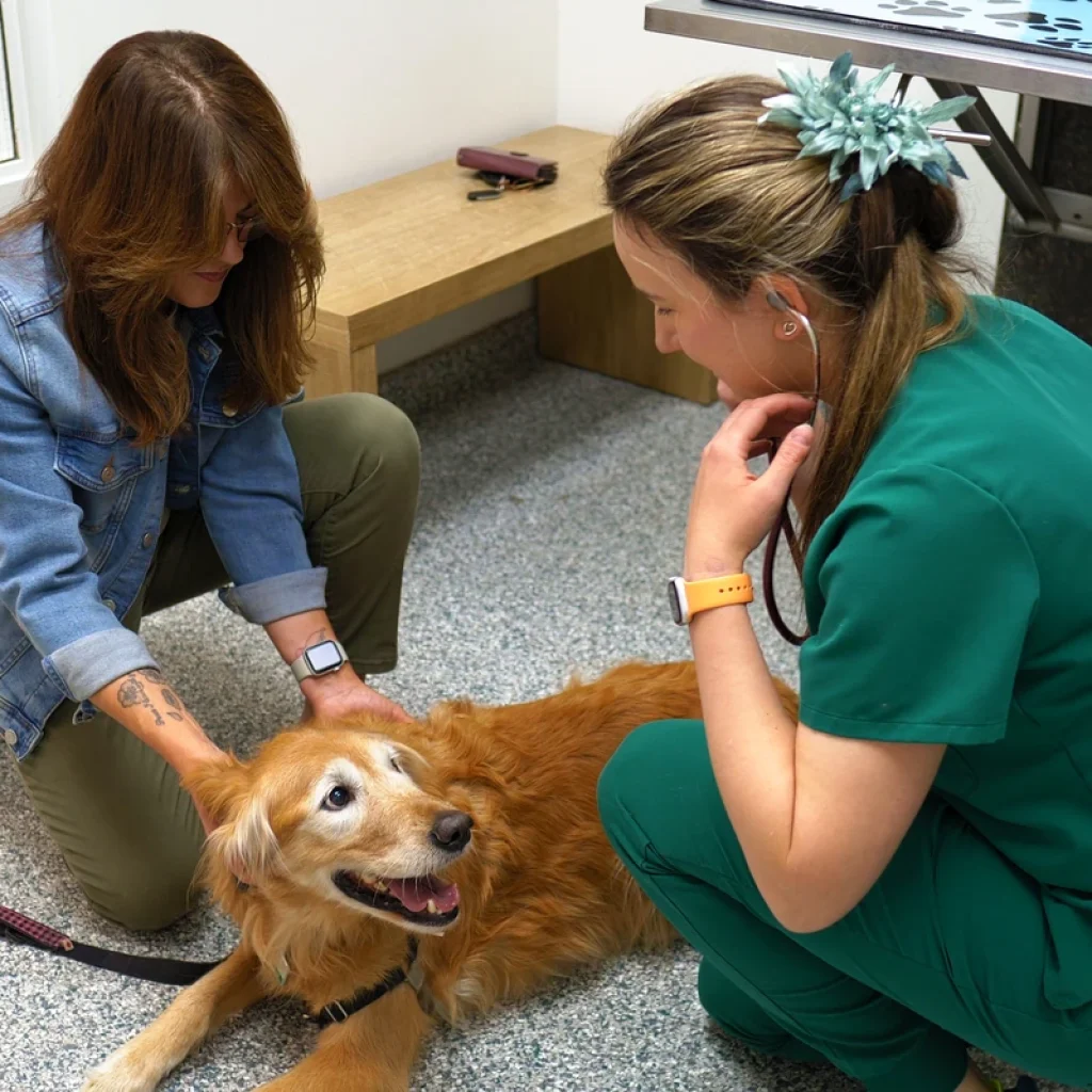 Westsprings Vet Clinic - 0925_009