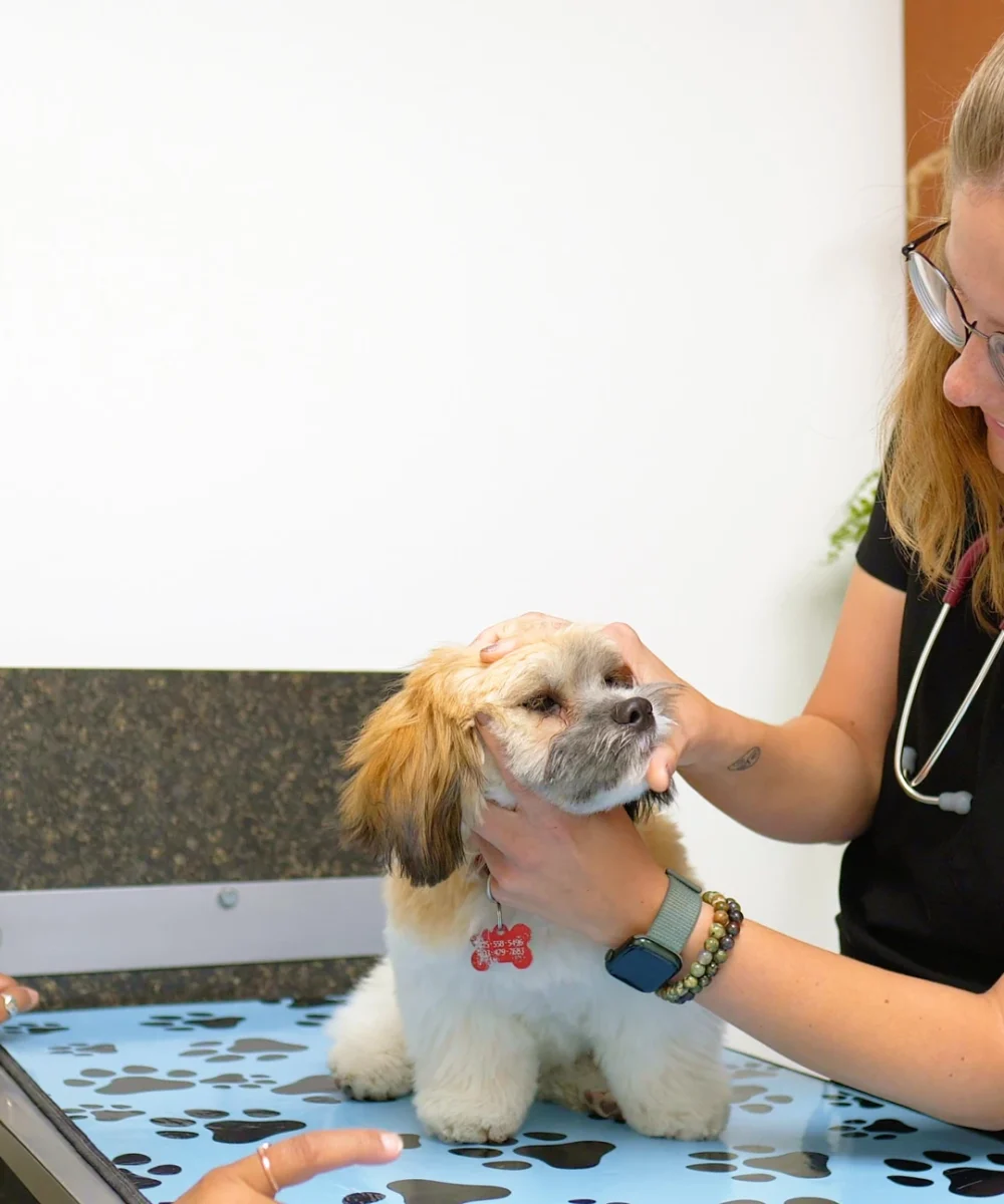 Westsprings Vet Clinic - 0925_043