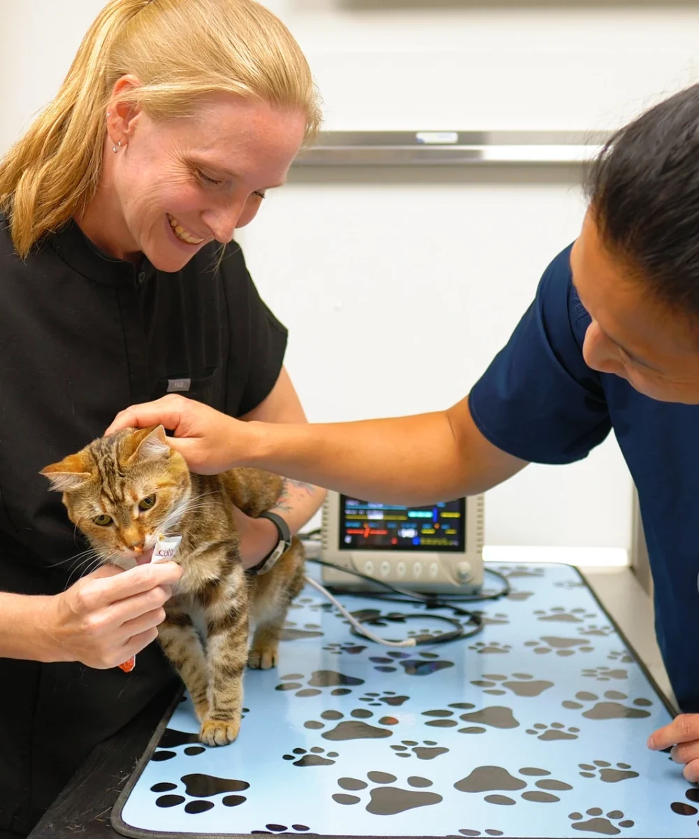 Westsprings Vet Clinic - 0925_067
